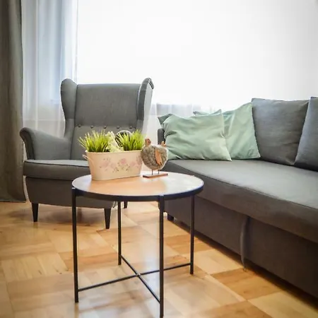 Apartament Aviator *